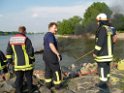 Kleine Yacht abgebrannt Koeln Hoehe Zoobruecke Rheinpark P168